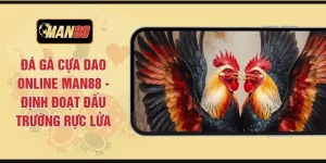 Đá Gà Cựa Dao Online MAN88 - Định Đoạt Đấu Trường Rực Lửa