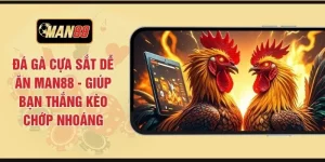 Đá Gà Cựa Sắt Dễ Ăn MAN88 - Giúp Bạn Thắng Kèo Chớp Nhoáng
